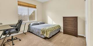 Amir's room