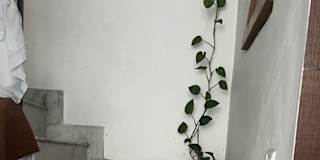 sarika Gupta's room