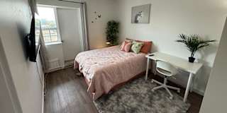 Alona's room