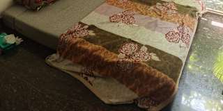 Thariq's room