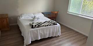 Martin's room
