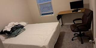 Gayani's room
