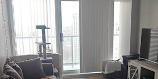 Vaishnavi Ramesh's room