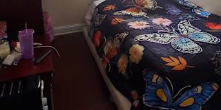 Alexander's room