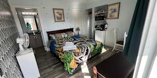 Anita's room