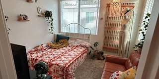 Amine's room