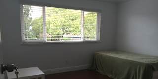 Steve's room