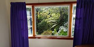 Catherine's room