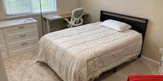 David Paul's room