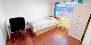 Shirin's room