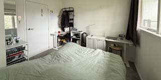 Freda's room