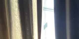 Safiya's room