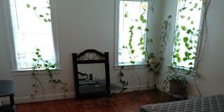 Paul's room