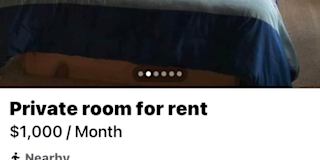 Renee's room