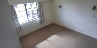 Dion's room