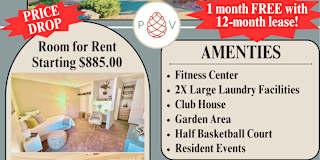 Pine View Village's room