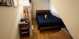 Daniel's room