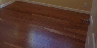 Alex's room