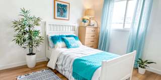 Nette's room