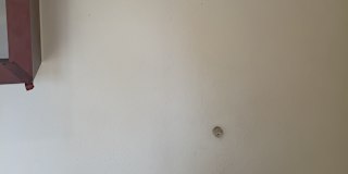 Hyacinth's room