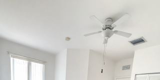 Rosa's room