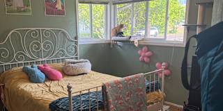 Kinsley's room