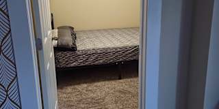 Nosheen's room