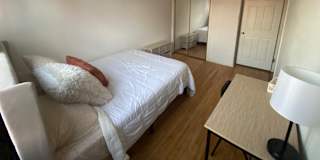 Haelly's room