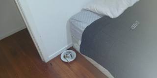 GRAEME's room