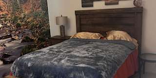 Dan M's room