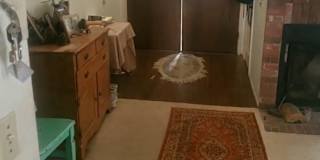 Carrie's room