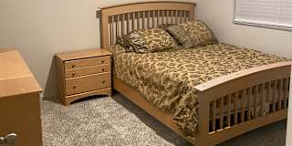 Jaber's room