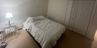 s.cedric's room