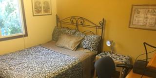 Eileen Lowey's room
