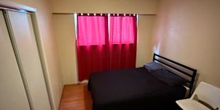 Saul's room