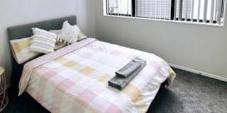 Shayal's room