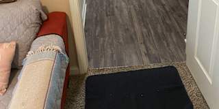 Julia's room