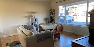 SHY's room