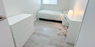 Shirin's room