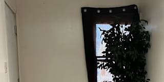 Kingston's room