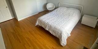 Dogan's room