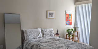 Alee's room