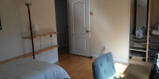 Stella's room