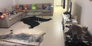 Masilo Makgoba's room