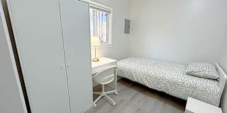 Shahram's room