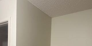 Sharlene's room