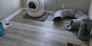 Rosanne donadio's room