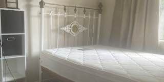Joshy  Fitzgerald's room