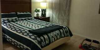 Andrea's room