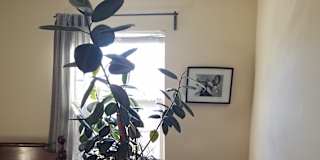 Jay's room
